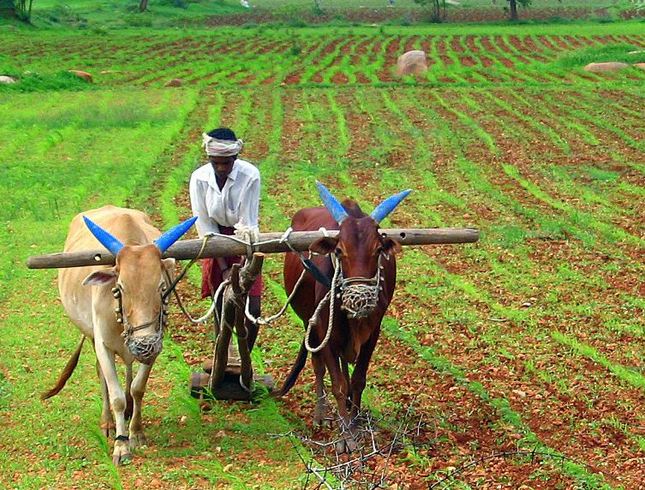 निवडणुकीच्या घोषणेसोबतच शेतकऱ्यांच्या खात्यात दोन हजार रुपये येणार!