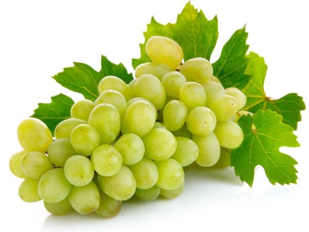 Grapes Health Benefits : द्राक्ष खाण्याचे फायदे काय?; वाचा 9 मोठे फायदे!