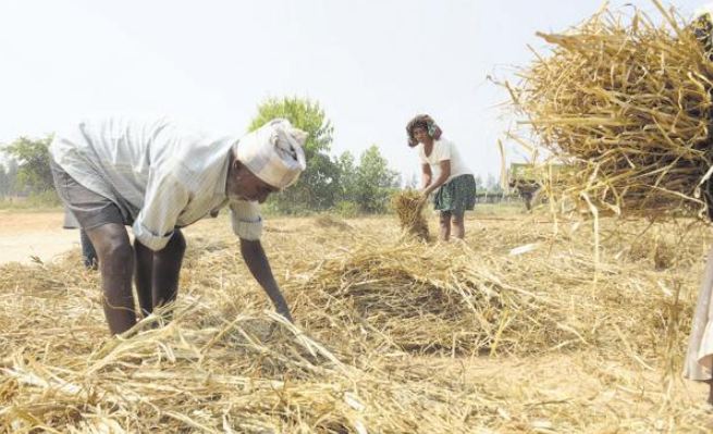 या राज्यांमध्येही शेतकऱ्यांना वर्षाला 5 ते 12 हजार रुपये मिळतात