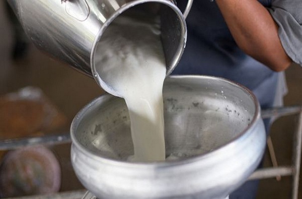 पाकिस्तानात महागाईचा आगडोंब, दूध दर 180 रुपये लिटर
