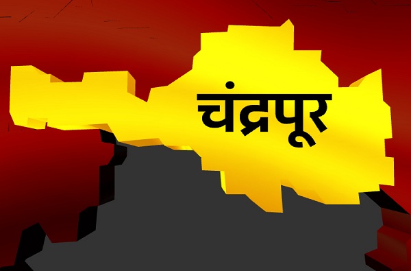 Chandrapur Lok Sabha Results : चंद्रपूर लोकसभा निकाल 2019