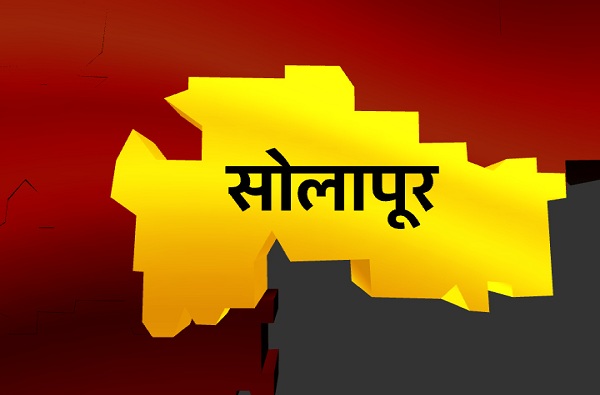 Solapur Lok Sabha Results : सोलापूर लोकसभा निकाल 2019