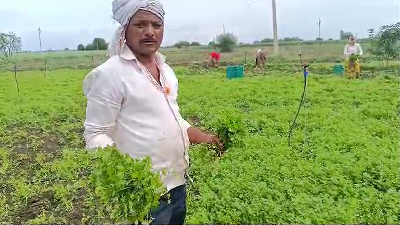 farmer