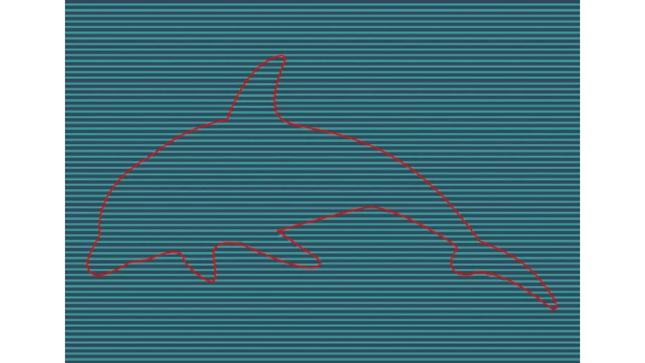 here is the hidden animal