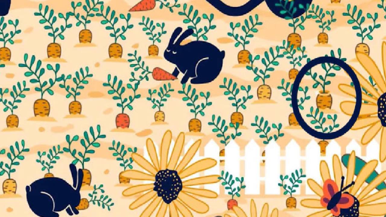 optical illusion spot the ring