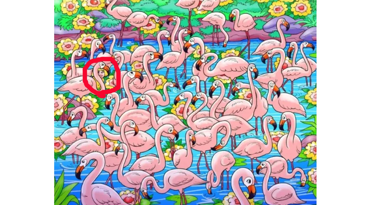 flamingo picture here is the girl