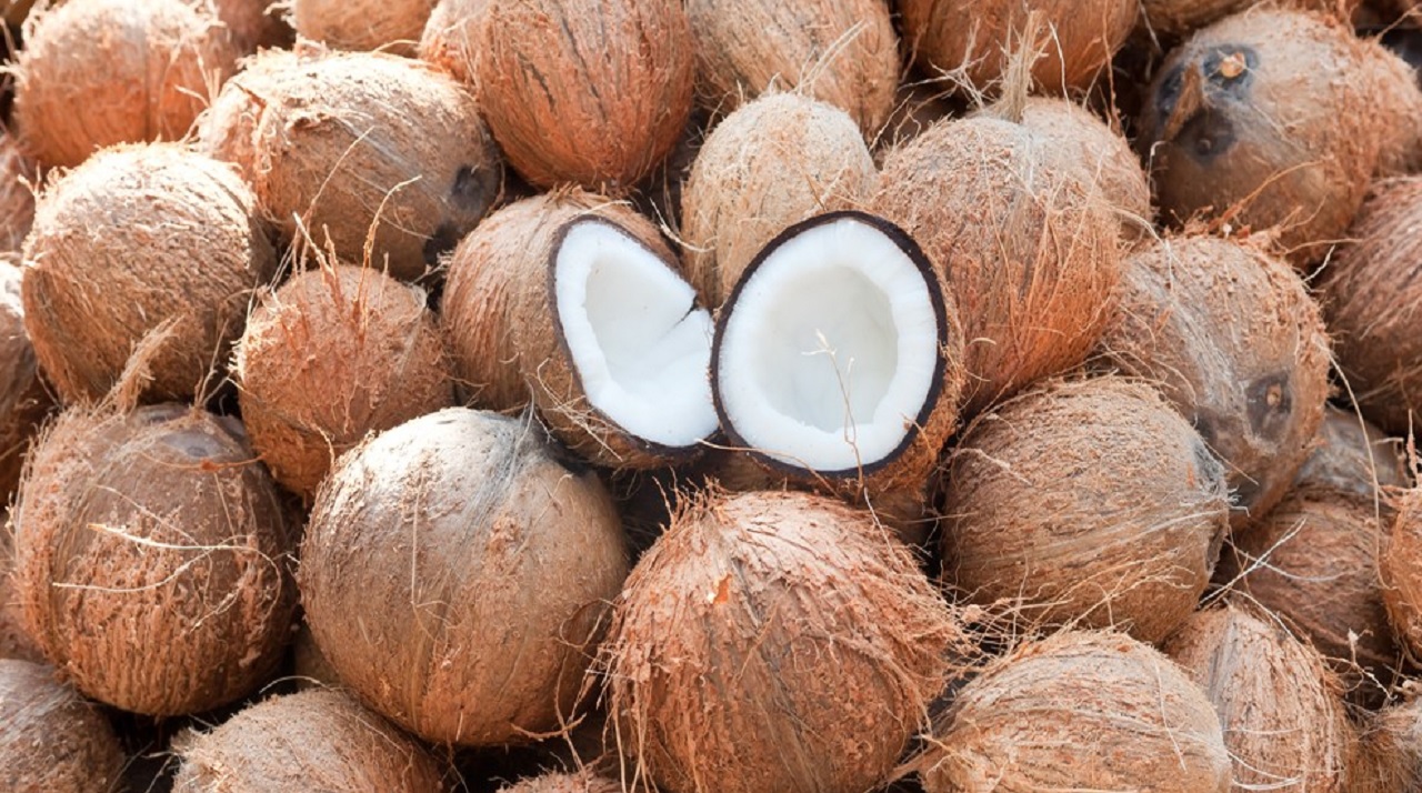 Dried Coconut